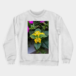 Self mirroring Crewneck Sweatshirt